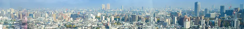 Panoramic view of Tokyo city skyline on a clear day, showcasing Japan’s urban business landscape.
