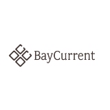 Bay Current Consulting